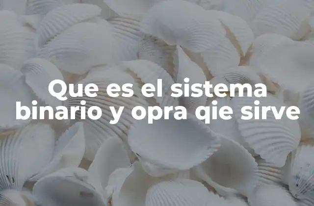 Que es el Sistema Binario y Opra Qie Sirve