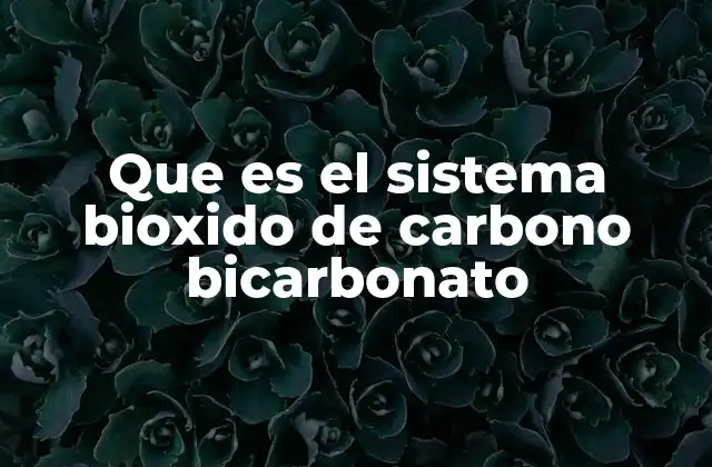 El equilibrio ácido-base y su importancia en la fisiología humana