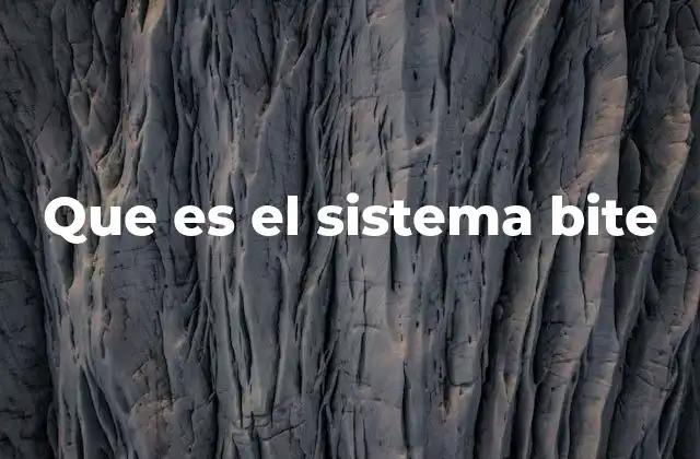 Que es el Sistema Bite