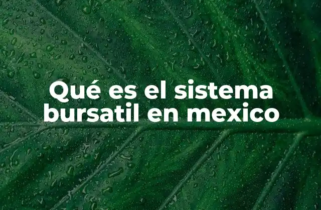Qué es el Sistema Bursatil en Mexico