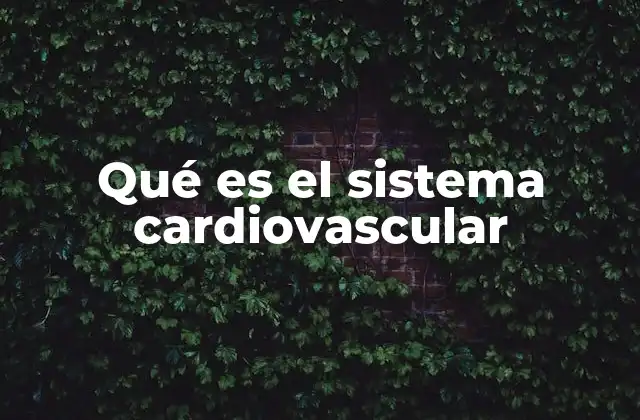 Qué es el Sistema Cardiovascular