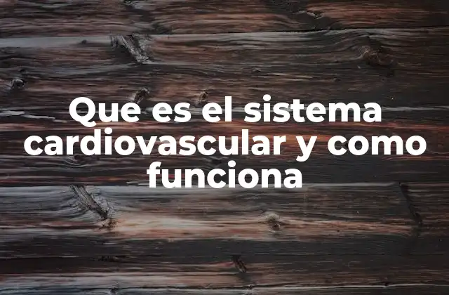 El papel del corazón en el sistema circulatorio