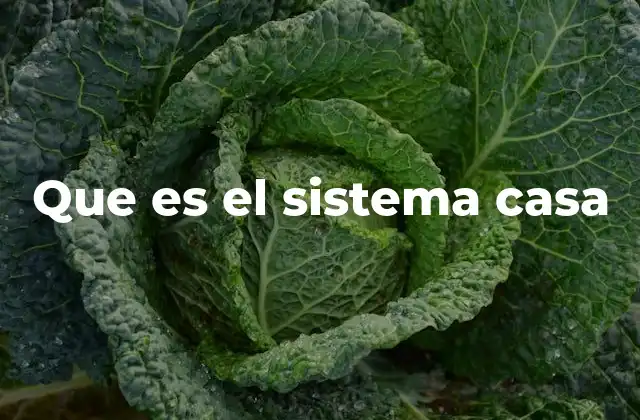 Que es el Sistema Casa