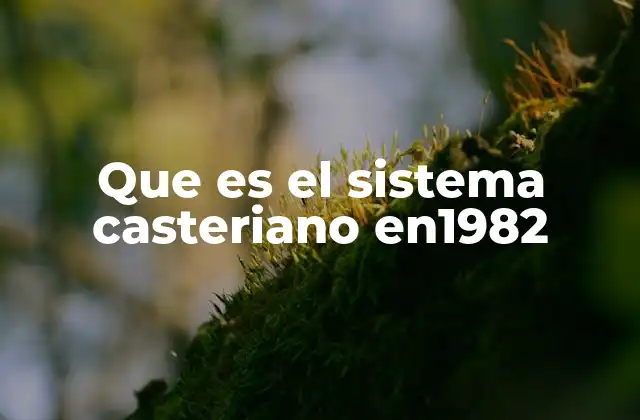 Que es el Sistema Casteriano En1982