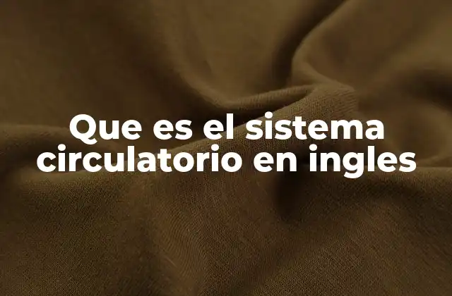 Que es el Sistema Circulatorio en Ingles