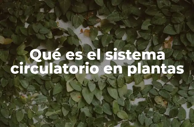 Qué es el Sistema Circulatorio en Plantas