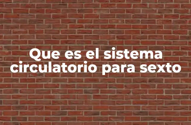 Que es el Sistema Circulatorio para Sexto