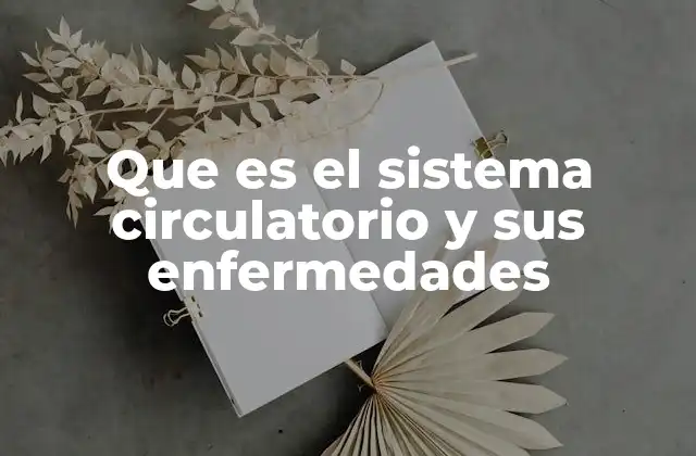 Que es el Sistema Circulatorio y Sus Enfermedades