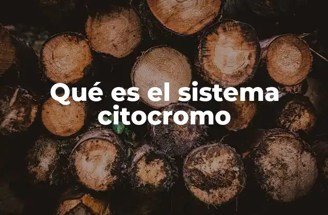 Qué es el Sistema Citocromo