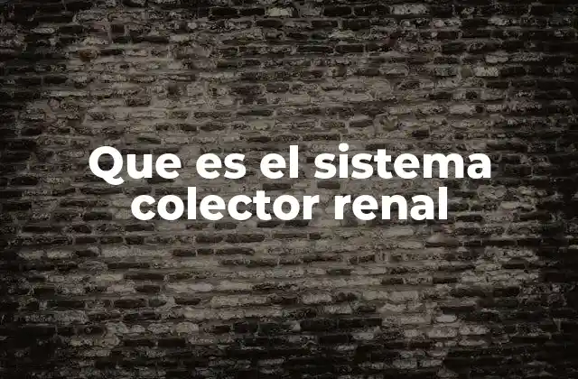 Que es el Sistema Colector Renal