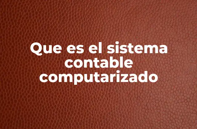 Que es el Sistema Contable Computarizado