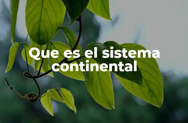 Que es el Sistema Continental