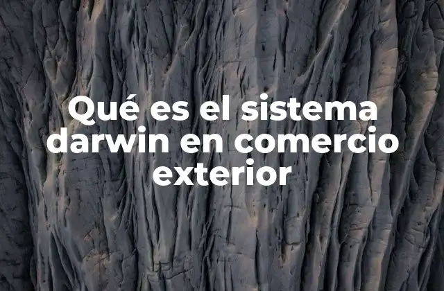 Qué es el Sistema Darwin en Comercio Exterior