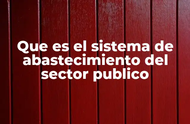 Que es el Sistema de Abastecimiento Del Sector Publico