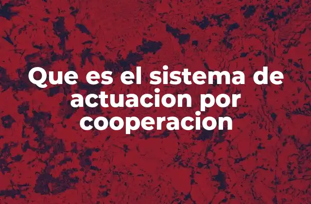 Que es el Sistema de Actuacion por Cooperacion