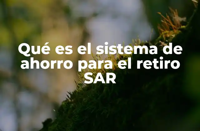 Qué es el Sistema de Ahorro para el Retiro Sar