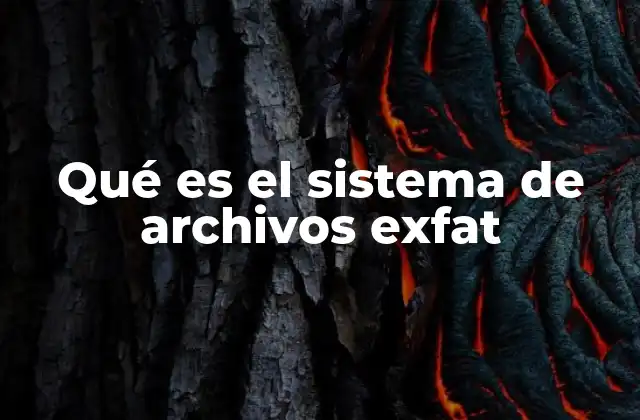 Qué es el Sistema de Archivos Exfat