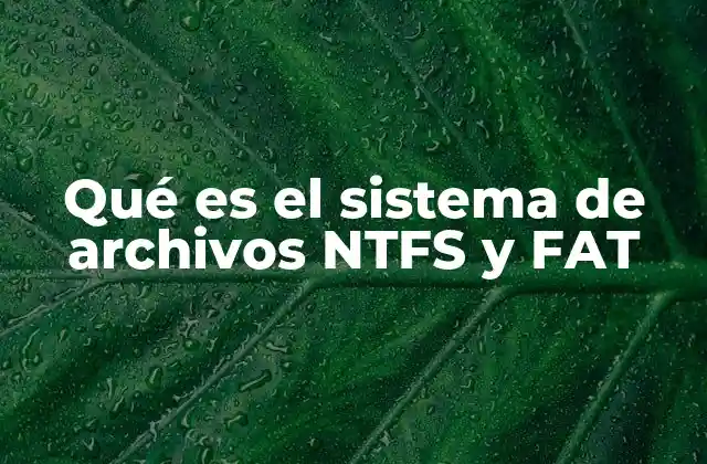 Qué es el Sistema de Archivos Ntfs y Fat