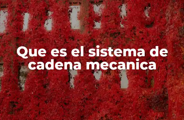 Que es el Sistema de Cadena Mecanica