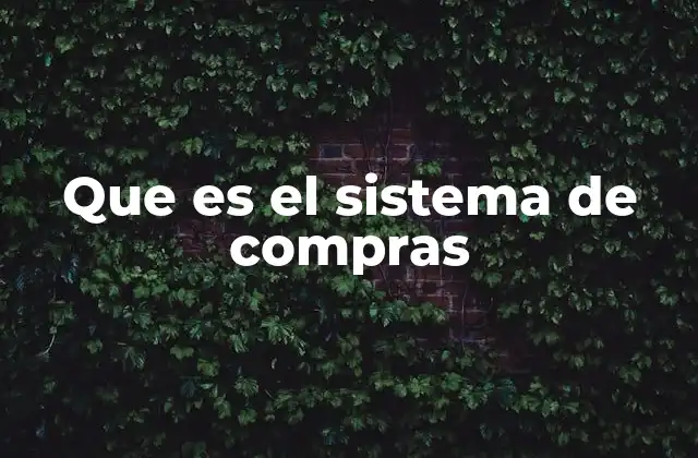 Que es el Sistema de Compras