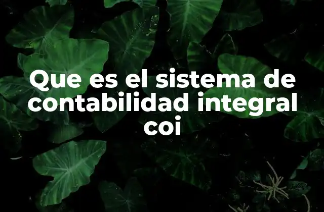 Que es el Sistema de Contabilidad Integral Coi