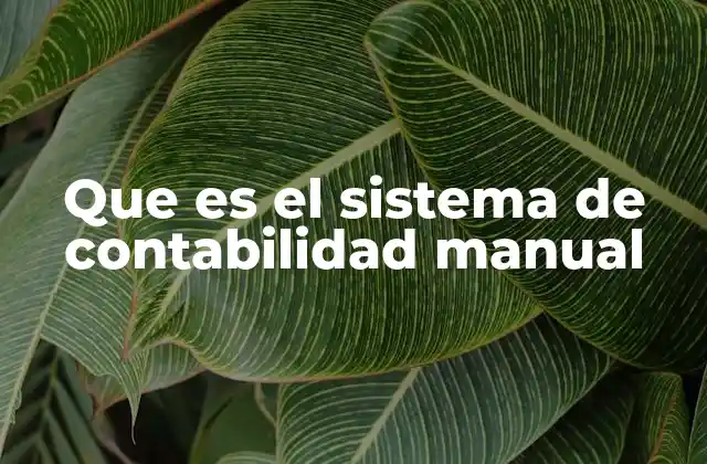 Que es el Sistema de Contabilidad Manual