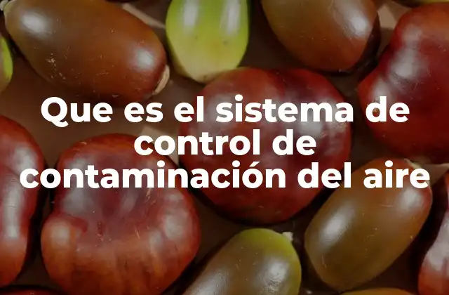 Que es el Sistema de Control de Contaminación Del Aire