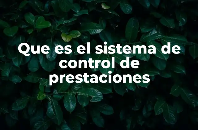 Que es el Sistema de Control de Prestaciones