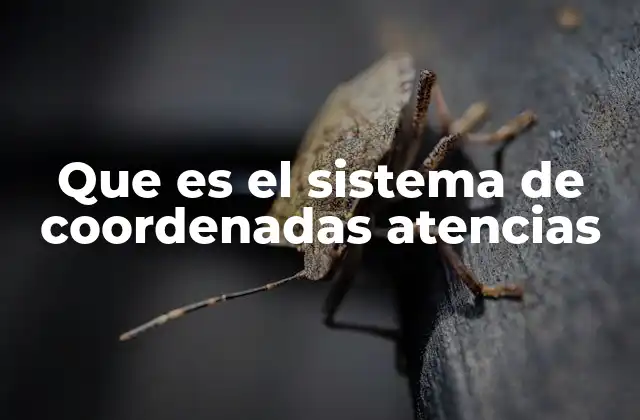 Que es el Sistema de Coordenadas Atencias