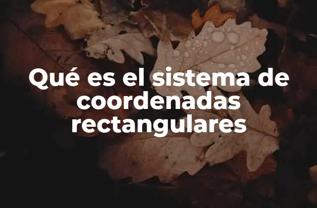 Qué es el Sistema de Coordenadas Rectangulares