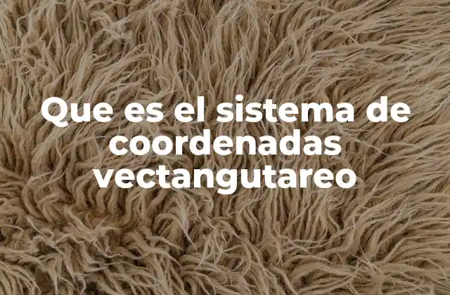 Que es el Sistema de Coordenadas Vectangutareo