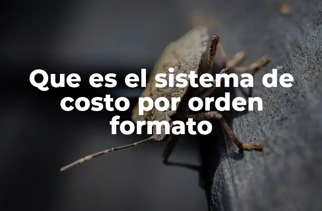 Que es el Sistema de Costo por Orden Formato