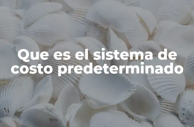 Que es el Sistema de Costo Predeterminado