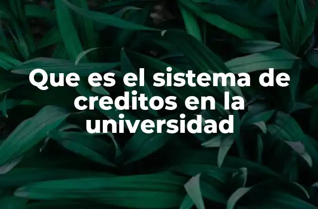 Que es el Sistema de Creditos en la Universidad 2 La importancia del sistema de créditos en la planificación académica
