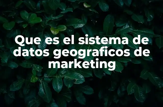 Que es el Sistema de Datos Geograficos de Marketing