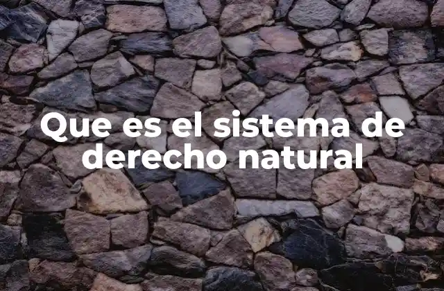 Que es el Sistema de Derecho Natural