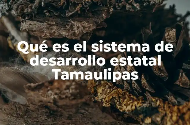 Qué es el Sistema de Desarrollo Estatal Tamaulipas