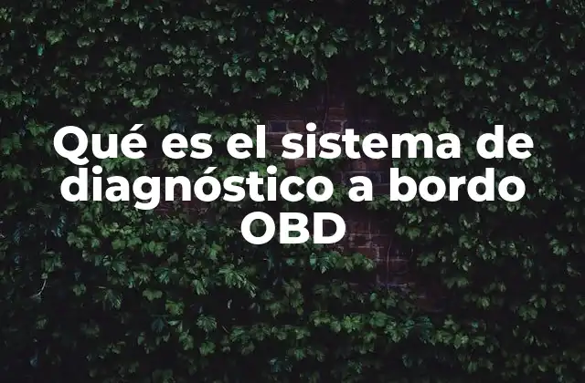 Funcionamiento del sistema de diagnóstico interno del automóvil