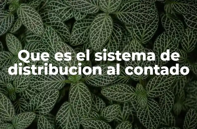 Que es el Sistema de Distribucion Al Contado