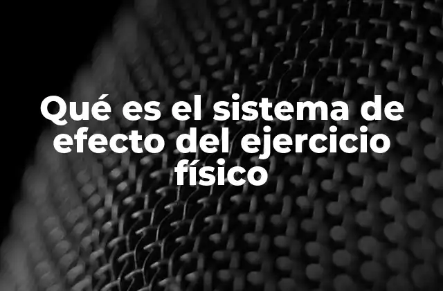 Qué es el Sistema de Efecto Del Ejercicio Físico