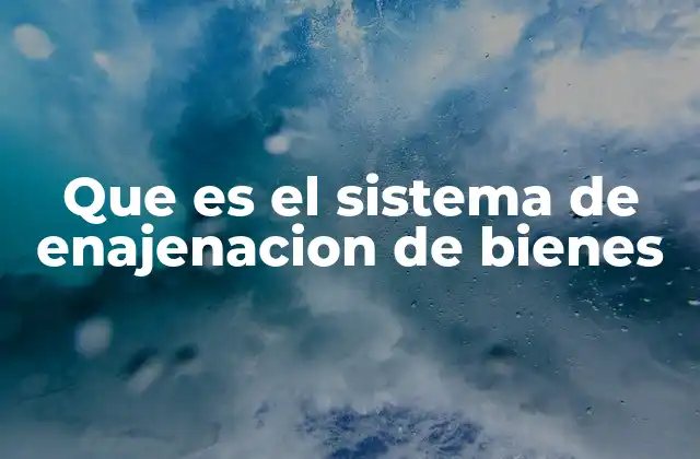 Que es el Sistema de Enajenacion de Bienes