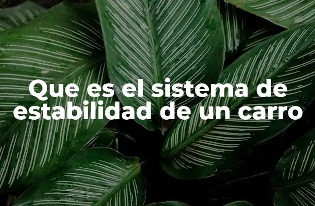 Que es el Sistema de Estabilidad de un Carro 2 Cómo garantiza la seguridad en la conducción