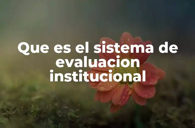 Que es el Sistema de Evaluacion Institucional