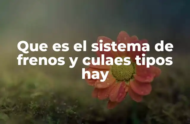 Que es el Sistema de Frenos y Culaes Tipos Hay