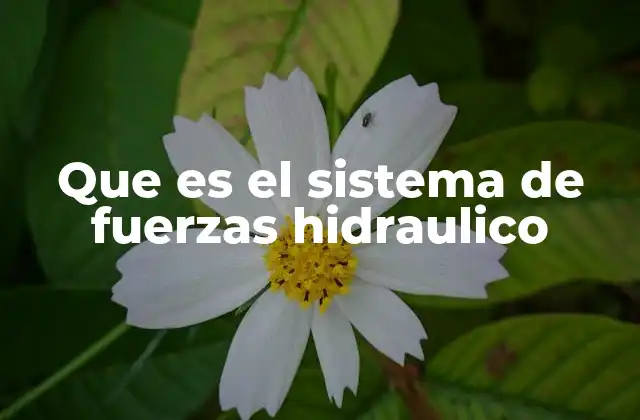 Que es el Sistema de Fuerzas Hidraulico 2 Componentes esenciales de un sistema de fuerzas hidráulico