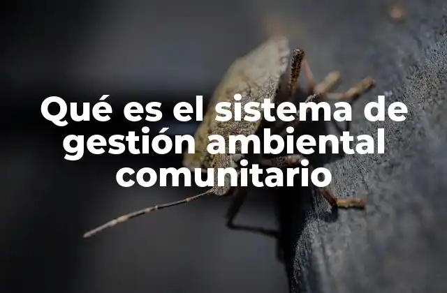 Qué es el Sistema de Gestión Ambiental Comunitario