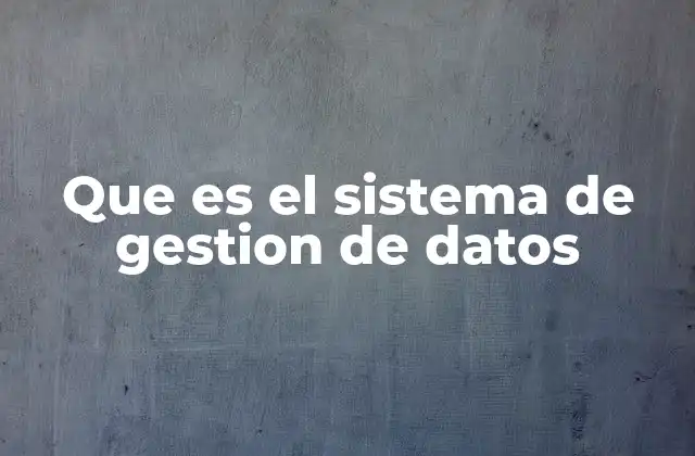 Que es el Sistema de Gestion de Datos
