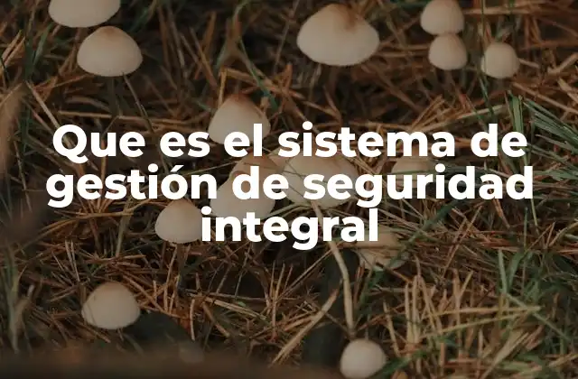 Que es el Sistema de Gestión de Seguridad Integral
