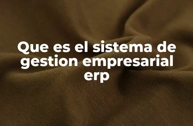 Que es el Sistema de Gestion Empresarial Erp