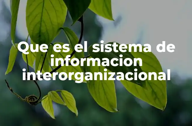 Que es el Sistema de Informacion Interorganizacional